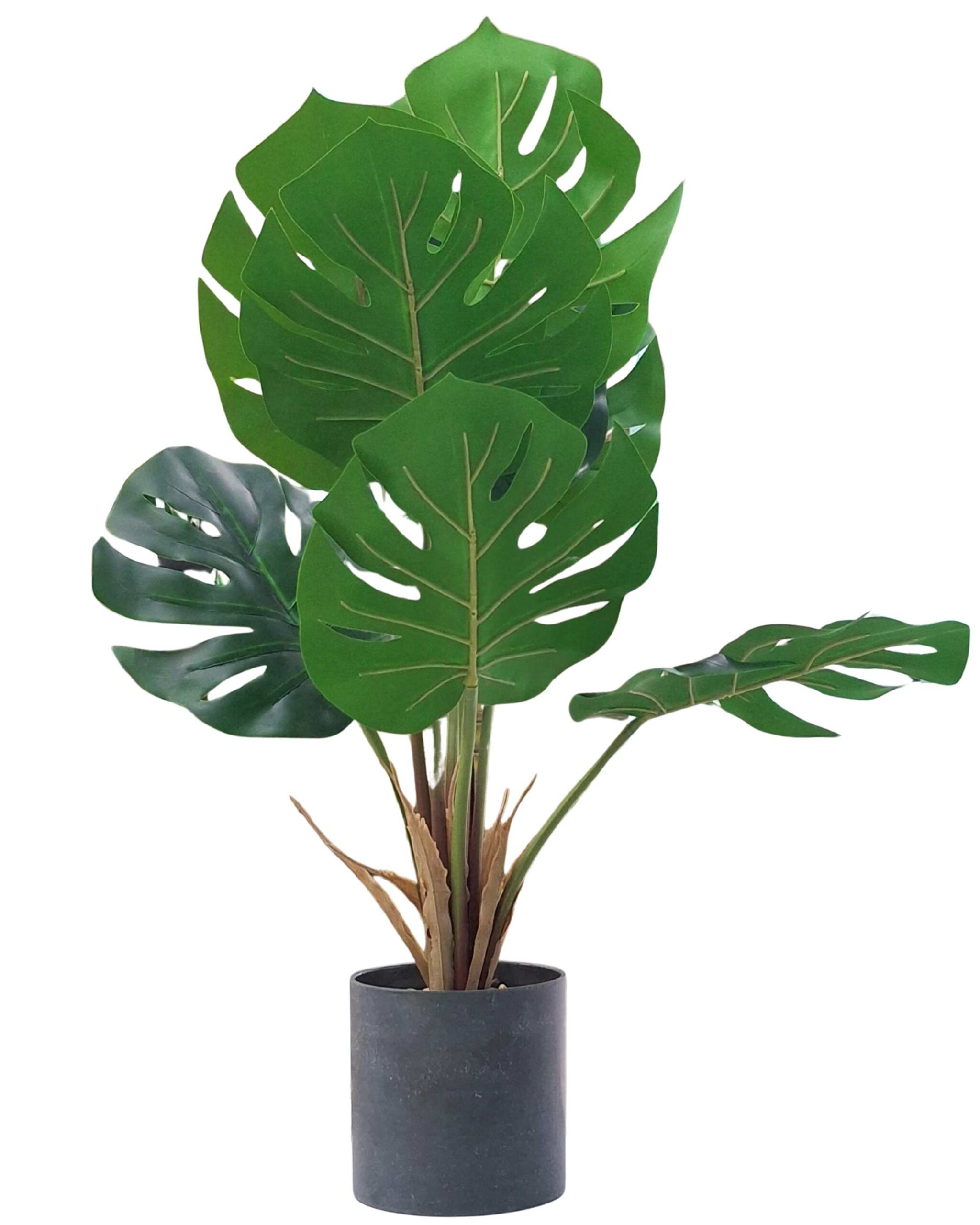 Artificial Plant