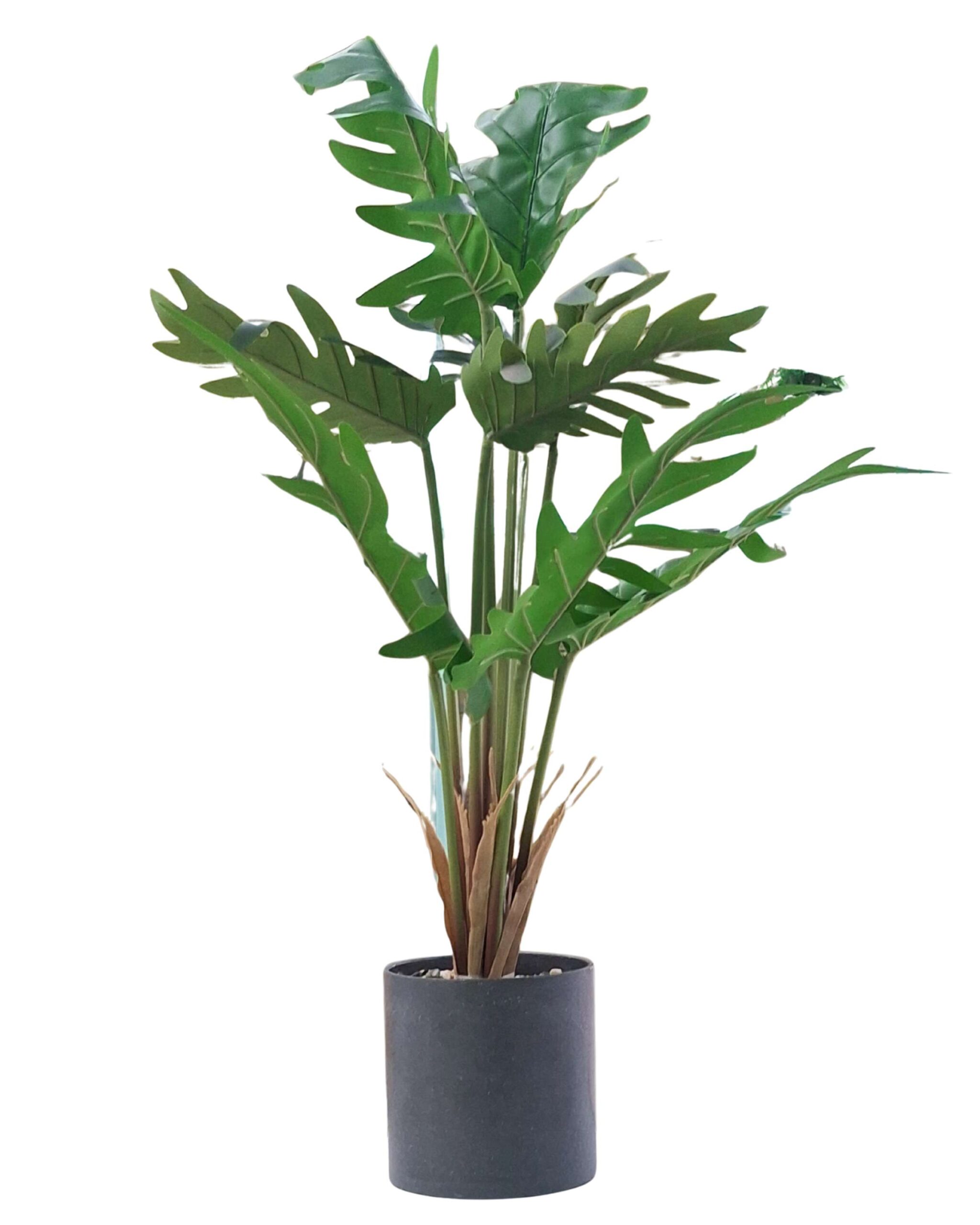 Artificial Plant