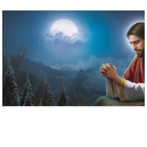 Jesus In The Garden Of Gethsemane