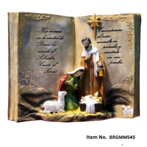 Bible Nativity Scene